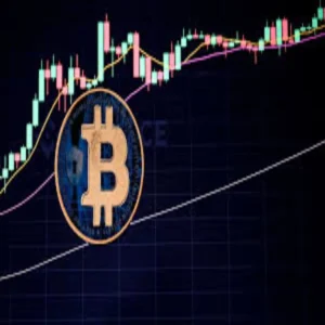 us crypto market rebounds bitcoin stability